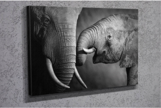 Hayvan Temalı Kanvas Tablo 