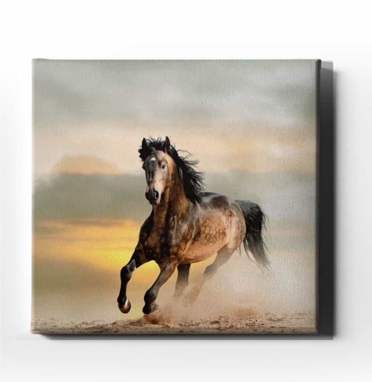 Hayvan Temalı Kanvas Tablo 